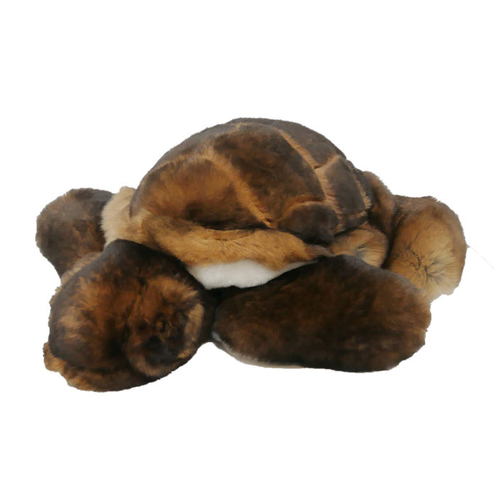 peluche tortue marron caresse orylag 1